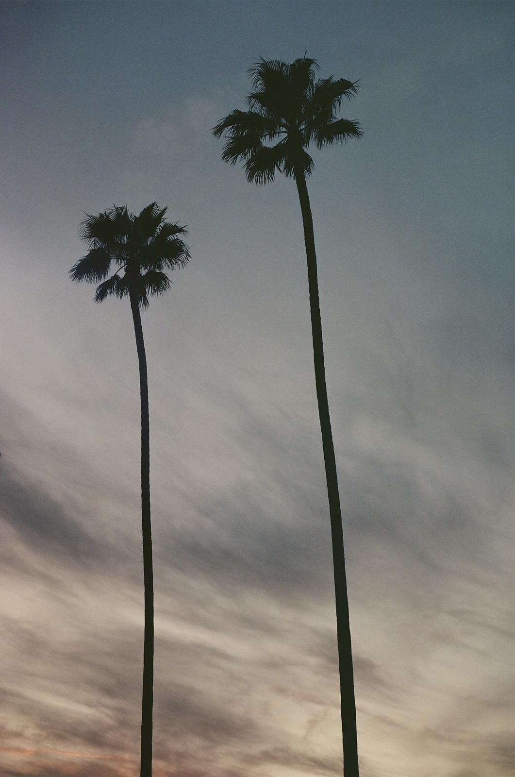 two palm trees are silhouetted against a cloudy sky