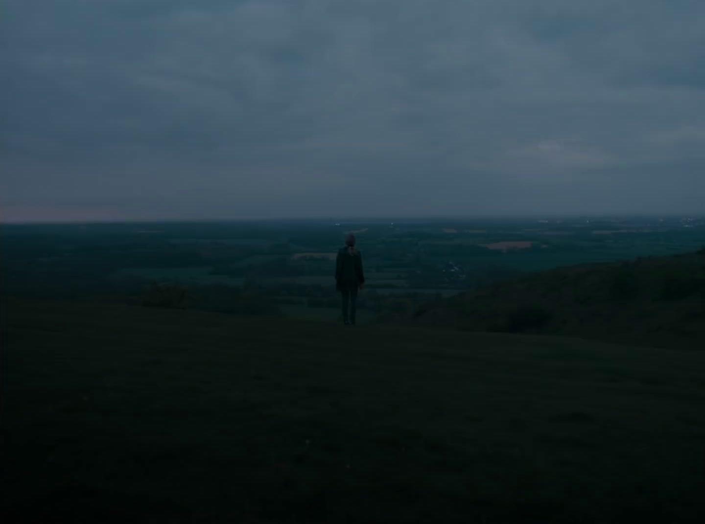 a person standing on top of a lush green hillside