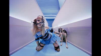 a woman in a costume and a dog in a hallway