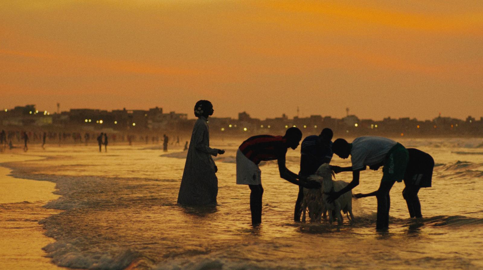 a group of people standing on top of a beach next to the ocean