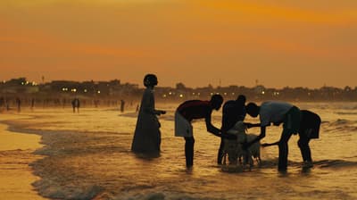 a group of people standing on top of a beach next to the ocean