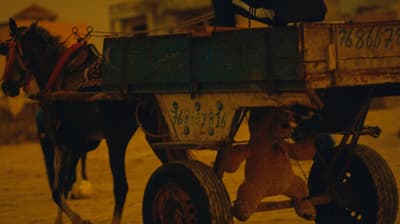 a teddy bear sitting on the back of a horse drawn carriage