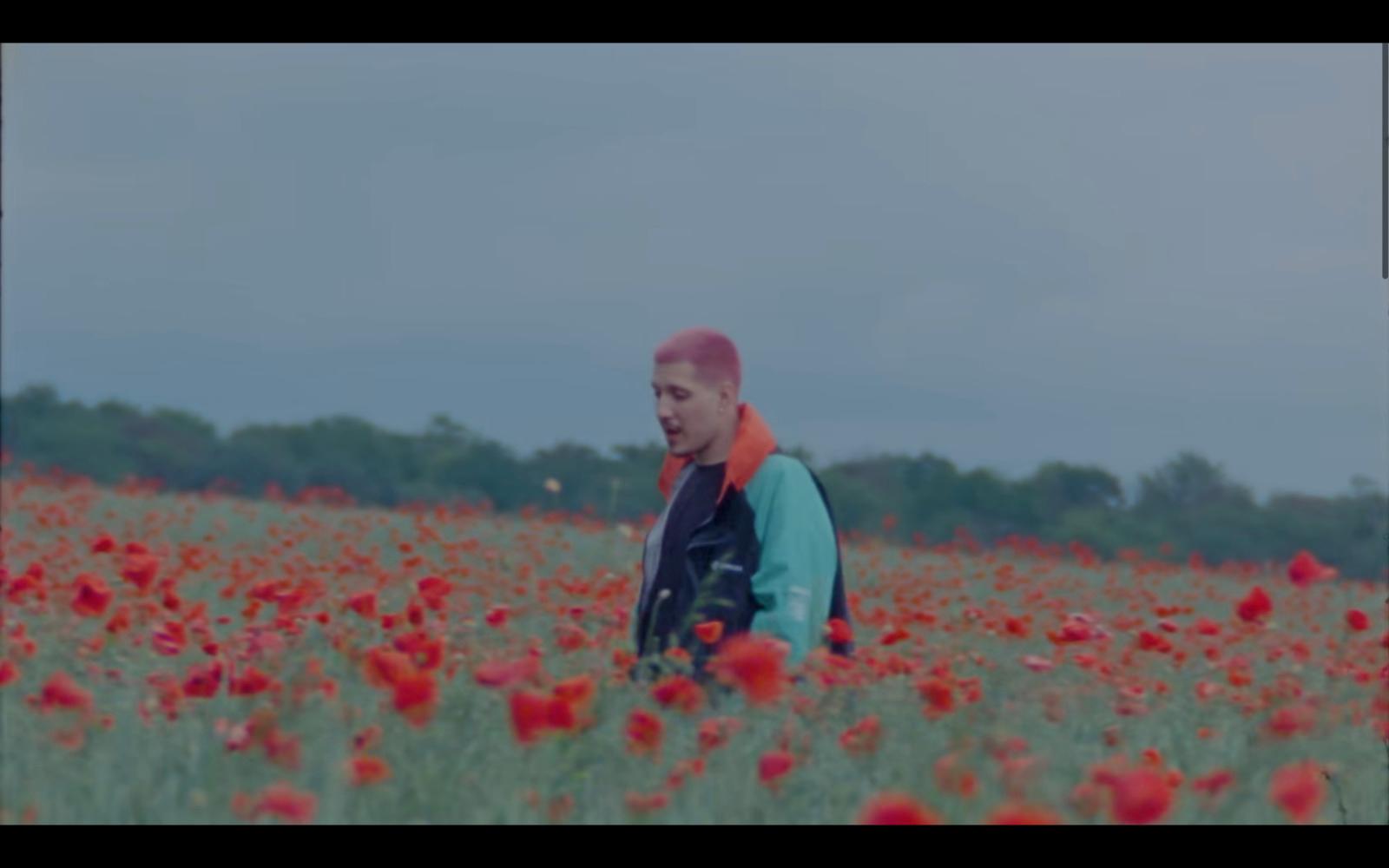 a man standing in a field of red flowers