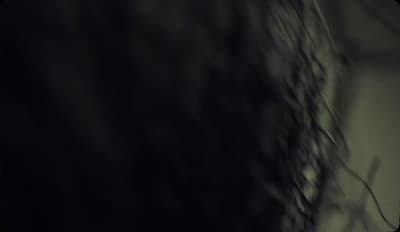 a blurry photo of a tree in the dark