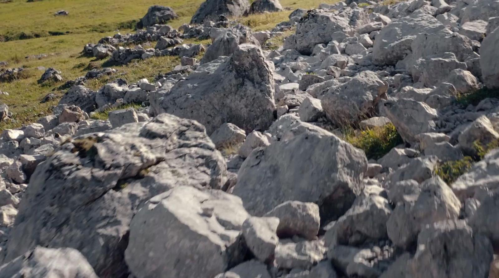 a rocky field with grass and rocks in the foreground