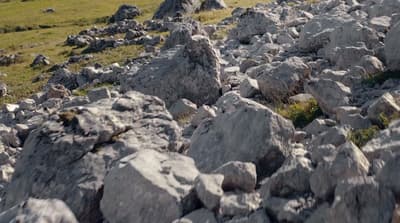 a rocky field with grass and rocks in the foreground