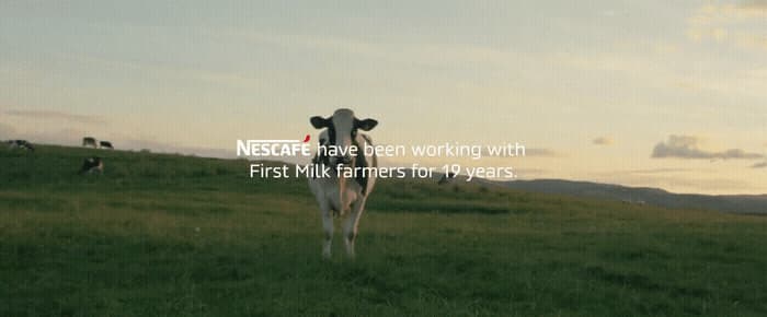 a cow standing on top of a lush green field