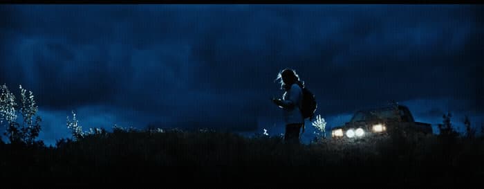 a person standing in a field at night