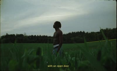 a man standing in the middle of a lush green field