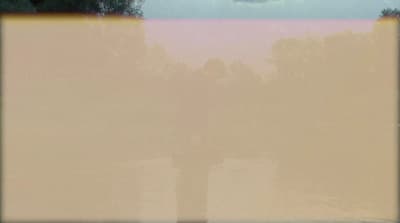 a blurry picture of a person standing in front of trees