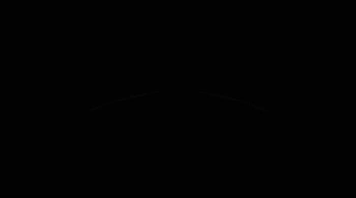 a black and white photo of a plane in the sky