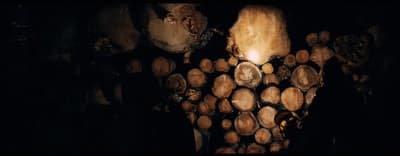a bunch of logs stacked on top of each other