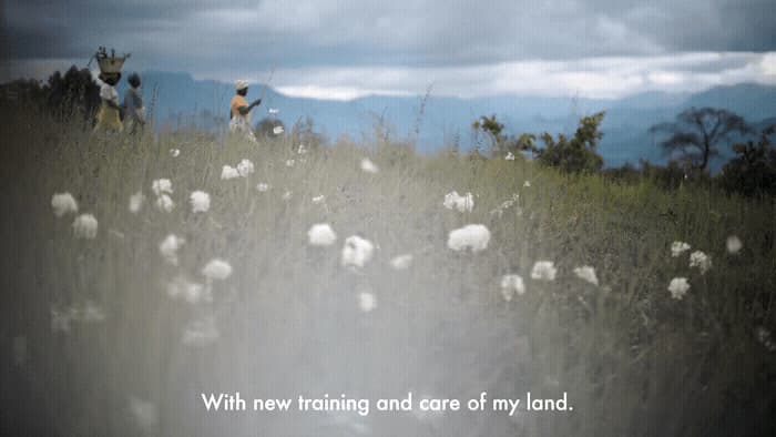 a field of tall grass with a quote written on it
