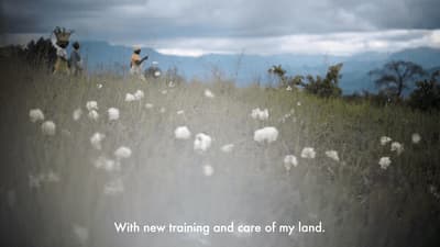 a field of tall grass with a quote written on it