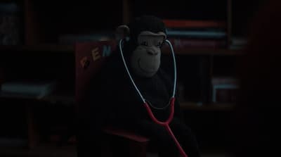 a monkey with a stethoscope in a room