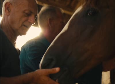 a man standing next to a brown horse