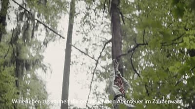 a person riding a zip line in a forest