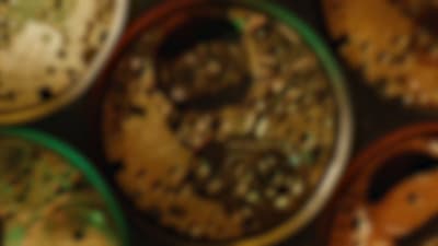 a close up of a bunch of cookies