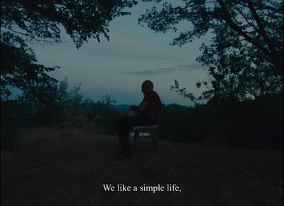 a man sitting in a chair under a tree