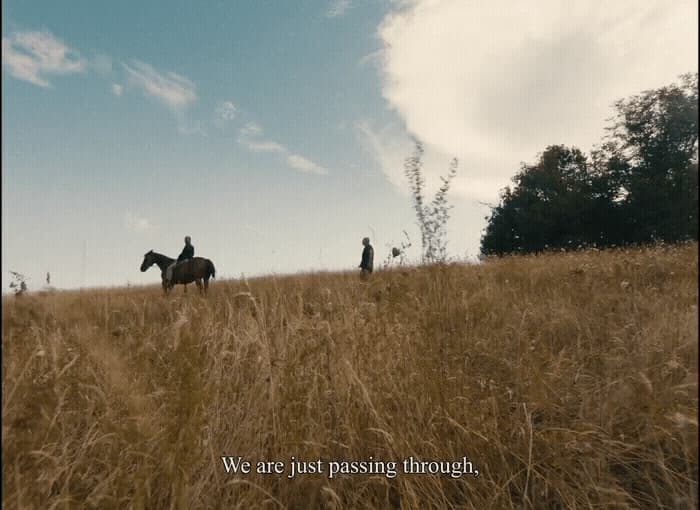 two people riding horses in a field of tall grass