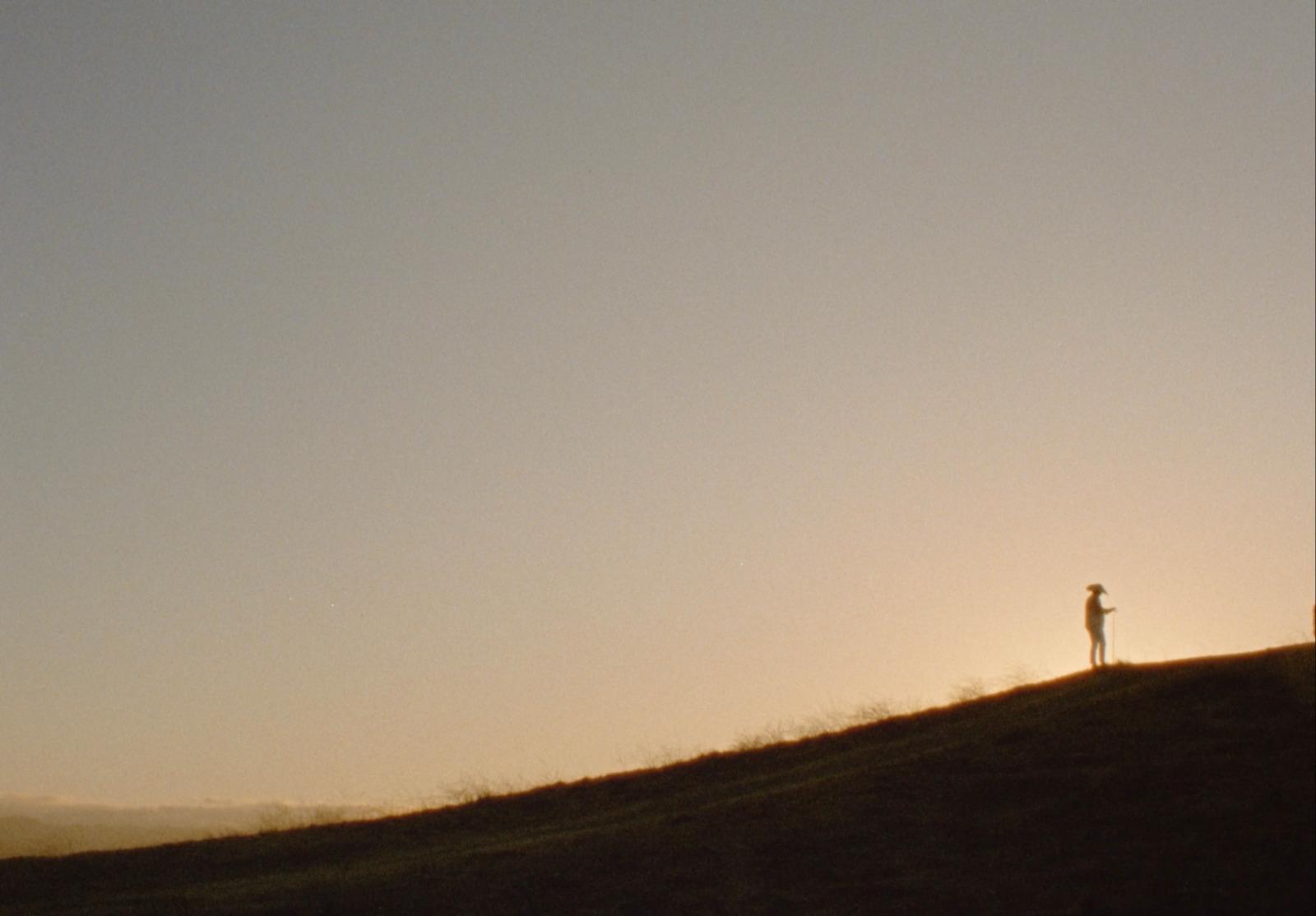 a person standing on top of a grass covered hill