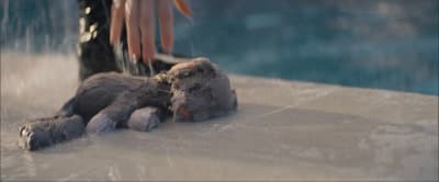 a stuffed animal laying on top of a pool of water