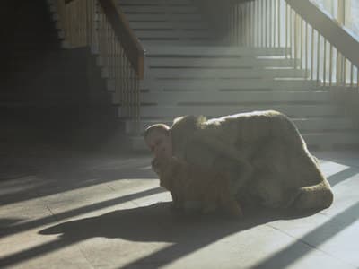 a stuffed animal sitting on the ground next to a stair case