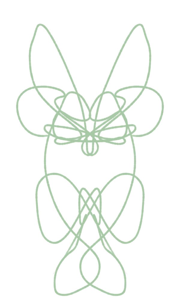 a drawing of a butterfly with a knot around it's neck