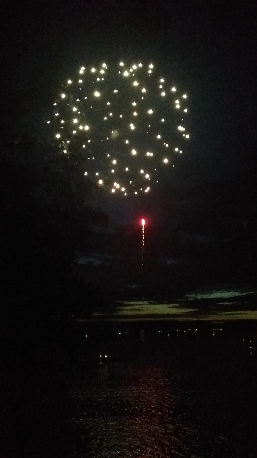 a large fireworks is lit up in the night sky