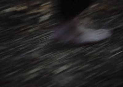 a blurry photo of a person walking in the woods