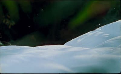 a blurry photo of a snowboarder going down a hill
