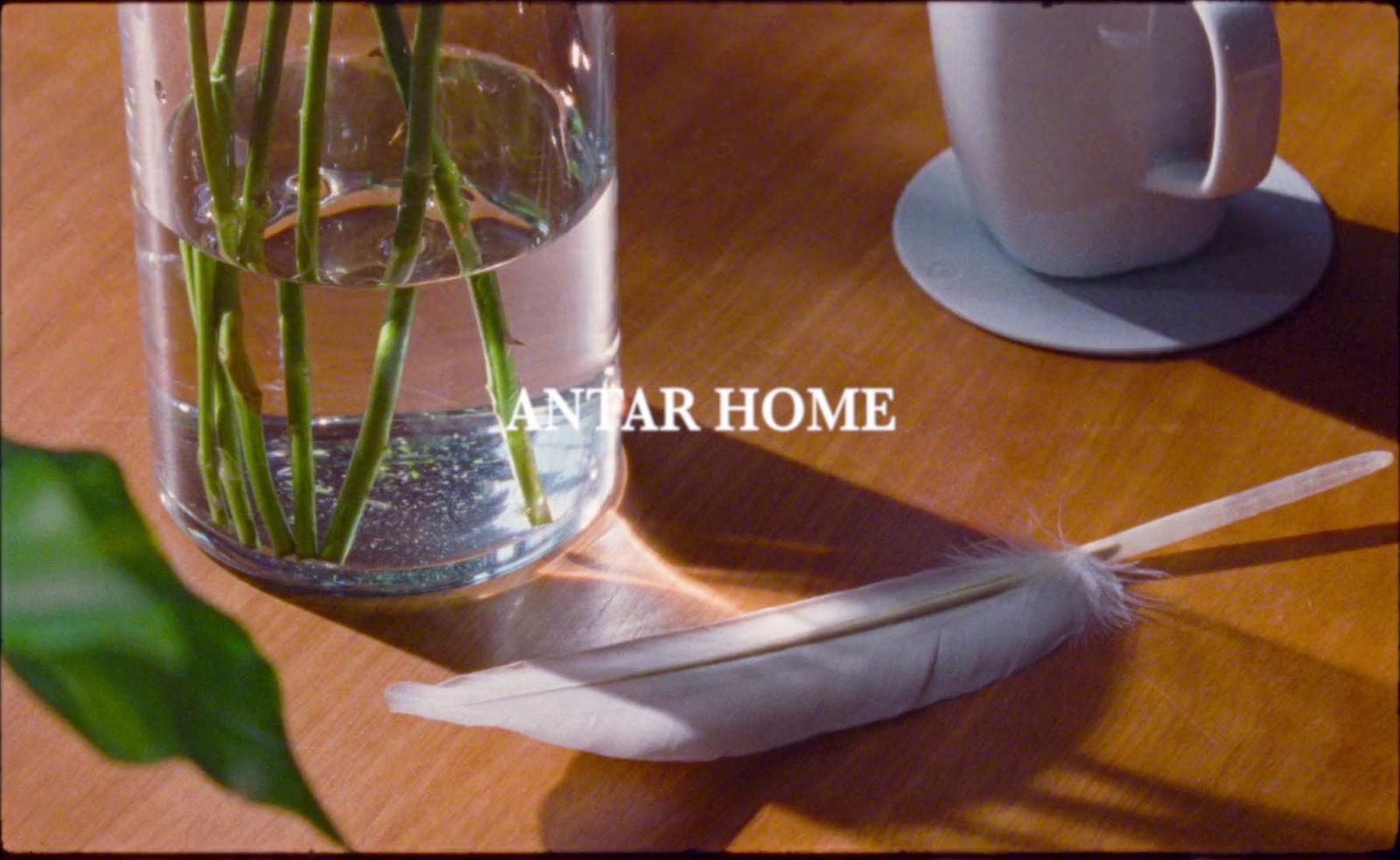 a vase filled with water and a feather on a table