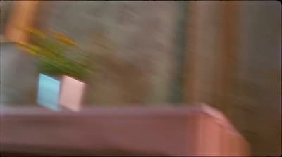 a blurry photo of a vase with flowers in it