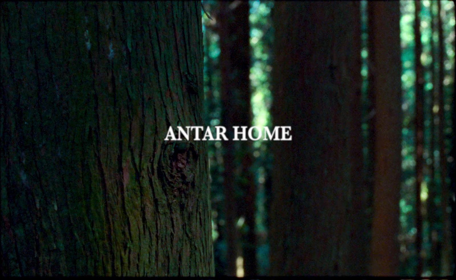 a picture of a forest with the words antar home on it