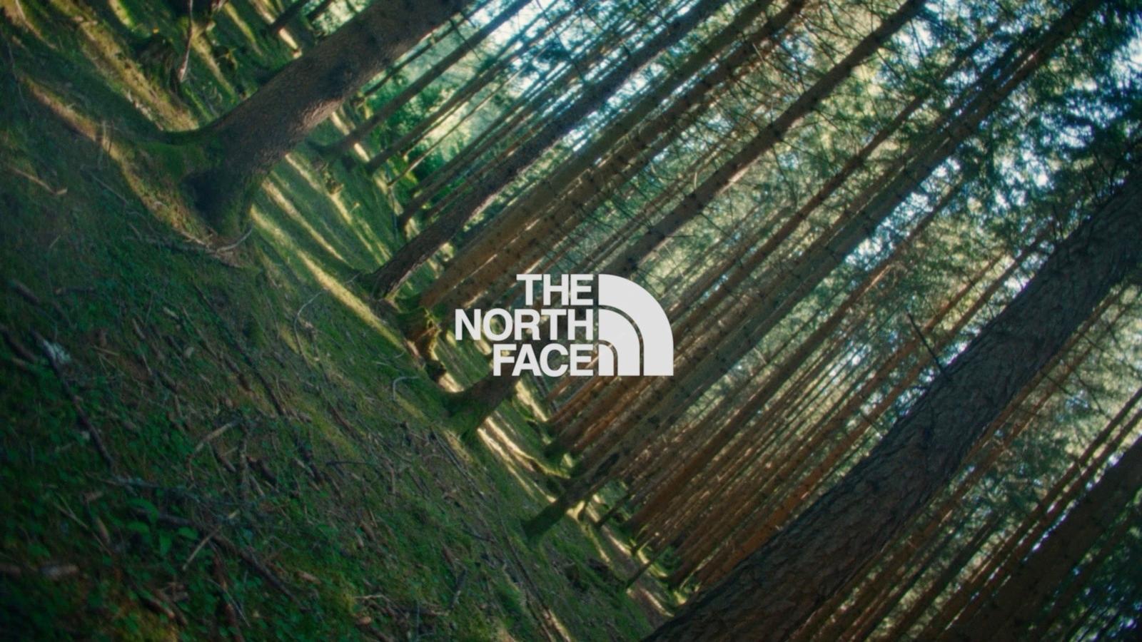 the north face logo in the middle of a forest