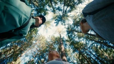 a group of people standing in the middle of a forest