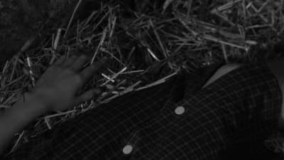 a person laying on the ground in hay