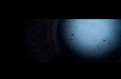 a close up of a blue object in the dark