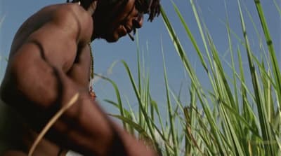 a man standing in a field of tall grass
