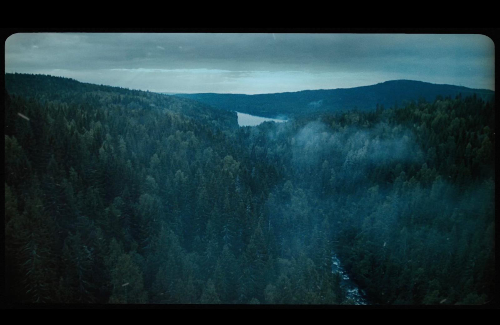 a view of a forest with a lake in the distance