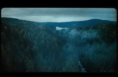 a view of a forest with a lake in the distance