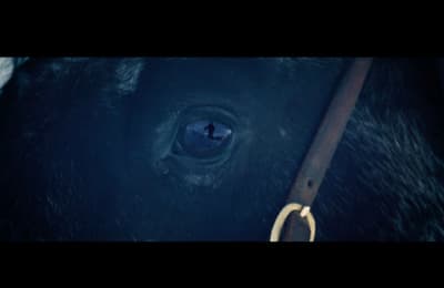 a close up of a black horse's eye