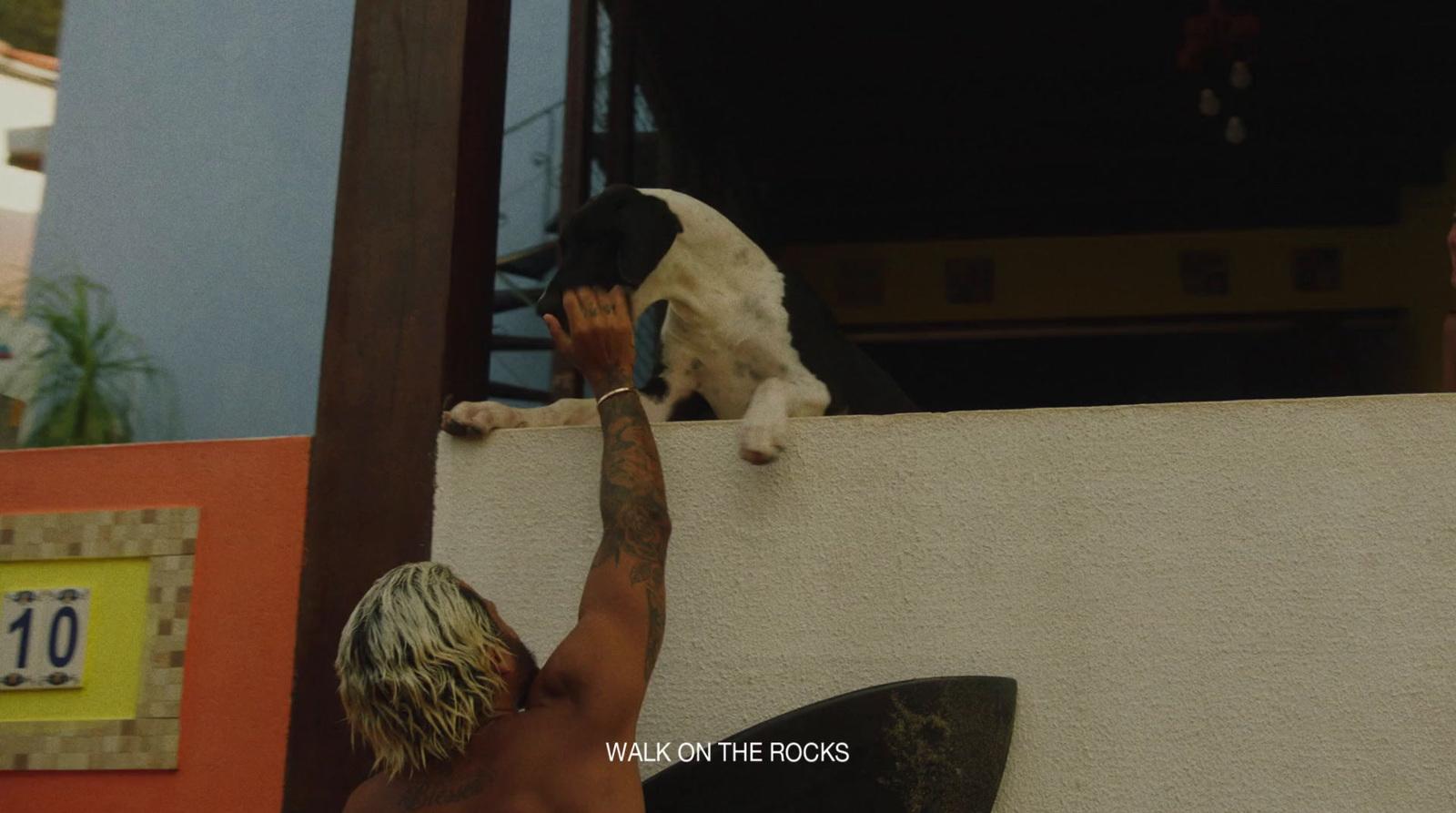 a man holding a surfboard next to a dog