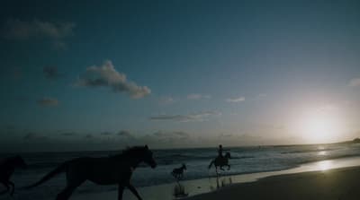 a group of people riding horses on a beach