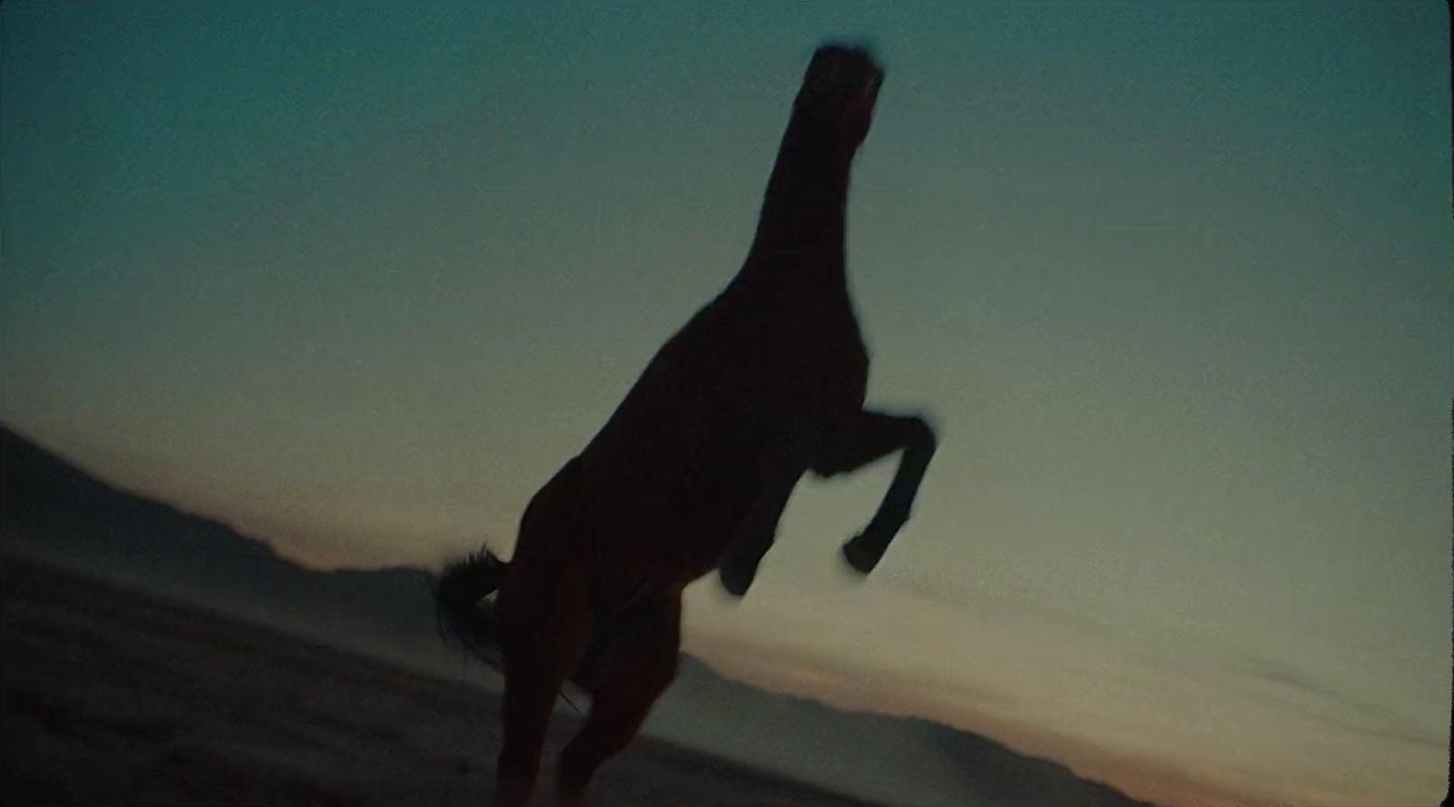 a silhouette of a giraffe jumping in the air