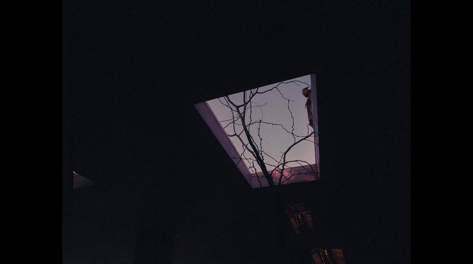 a view of a tree through a window at night