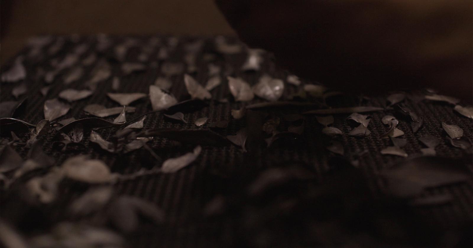 a close up of leaves on a table