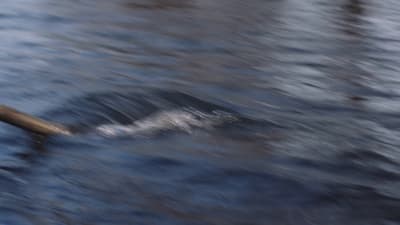 a blurry photo of a pipe sticking out of the water