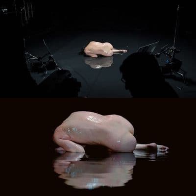 a chicken laying on top of a black table