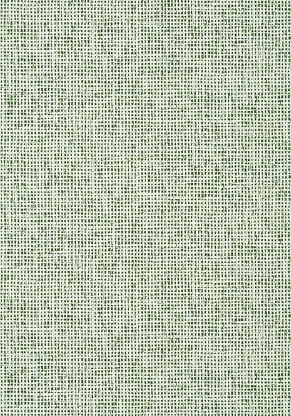a green and white background with small dots